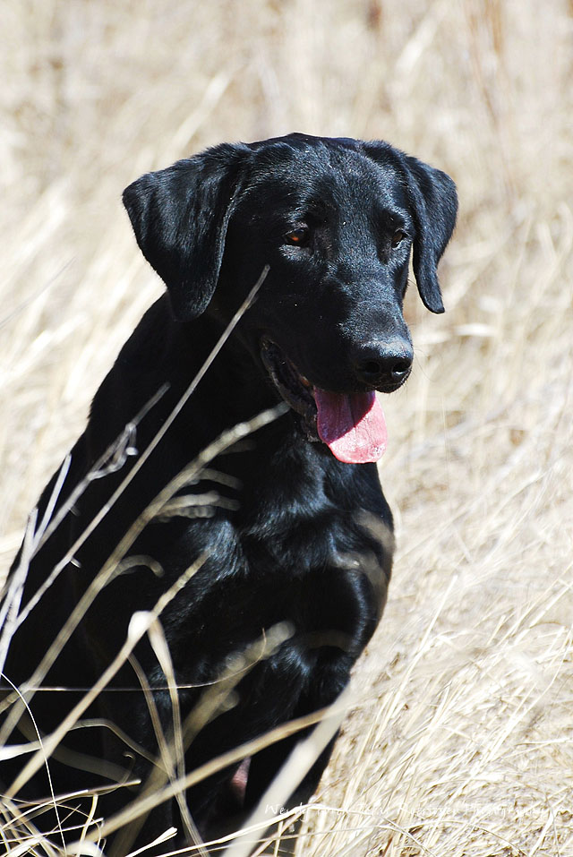 RU_PM_Upland&Ribbon 092.jpg
