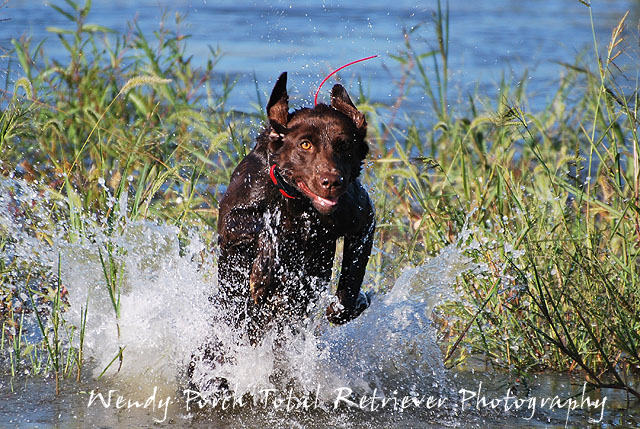 CahokiaCreek 022.jpg